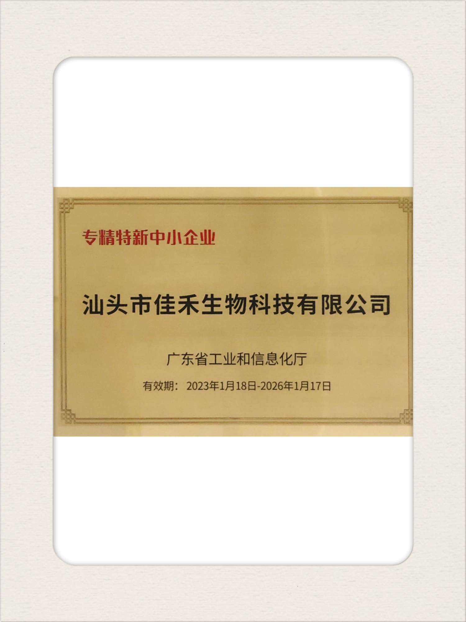 1專精特新【汕頭】.jpg